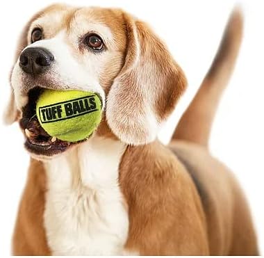 Petsport 2 pachet de mingi de tenis pentru mega tuff pentru câini, 6 inch, nu va purta dinți în jos