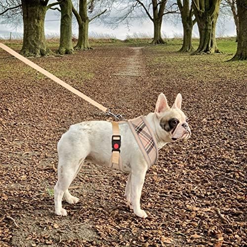 Cabină mică pentru câini harnașă cățeluș cu plasă respirabilă reflectorizant piept reglabil siguranță cataramă harnașă pentru