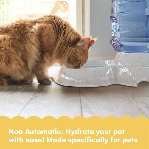 Distribuitor automat de apă pentru animale de companie Noa Store | distribuitor de apă pentru pisici de 1 și 3 galoane și distribuitor