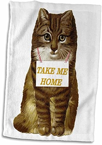 3drose Florene Cat - pisica de epocă cu semnul Take Me Home-prosoape