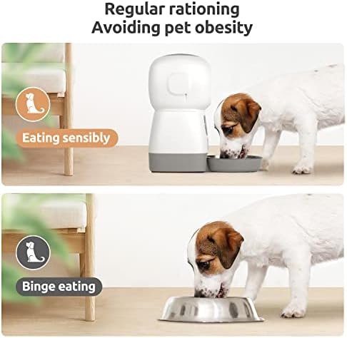 KutoraWorks alimentator automat pentru pisici, dozator de hrană pentru câini cu capac rotativ de blocare, fereastră vizuală,