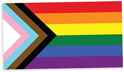 Aplicabil Pun Progress Pride Flag LGBTQ POC Transgender Flag - Vinil Decal Sticker 12 inch