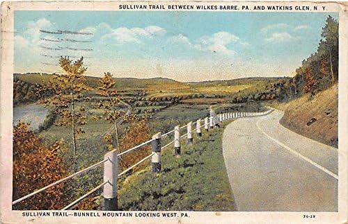 Watkins Glen, New York Postcard